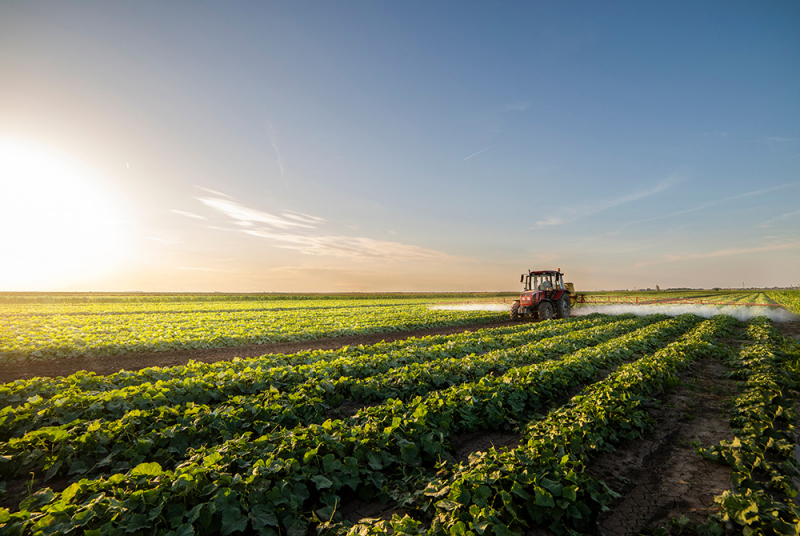 traktor, rolnictwo Agricoltura di precisione